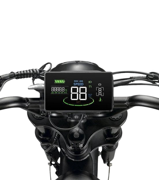 Display fatbike V20 - scherm fatbike V20 - LCD display fatbike V20 - fatbike - V20 - 2024 model- niet opvoerbaar Begrensd!